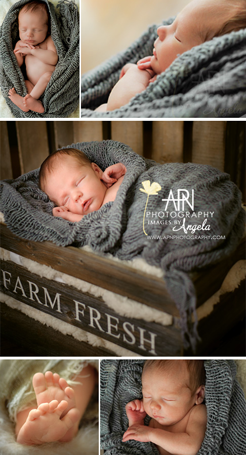 Newborns Portraits - Plano Photographer, newborn session baby david